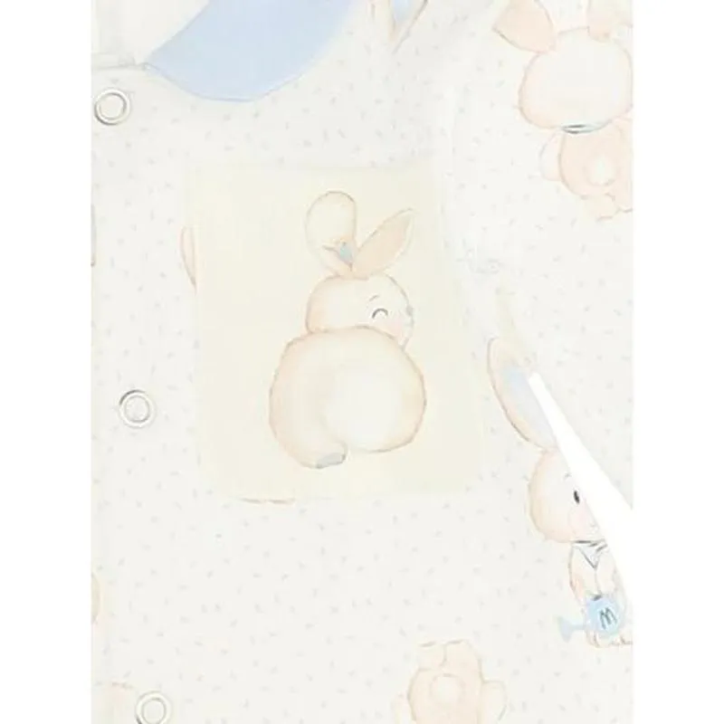 Boys Bunny Babygrow
