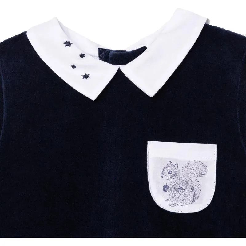 Boys Navy Squirrel Babygrow