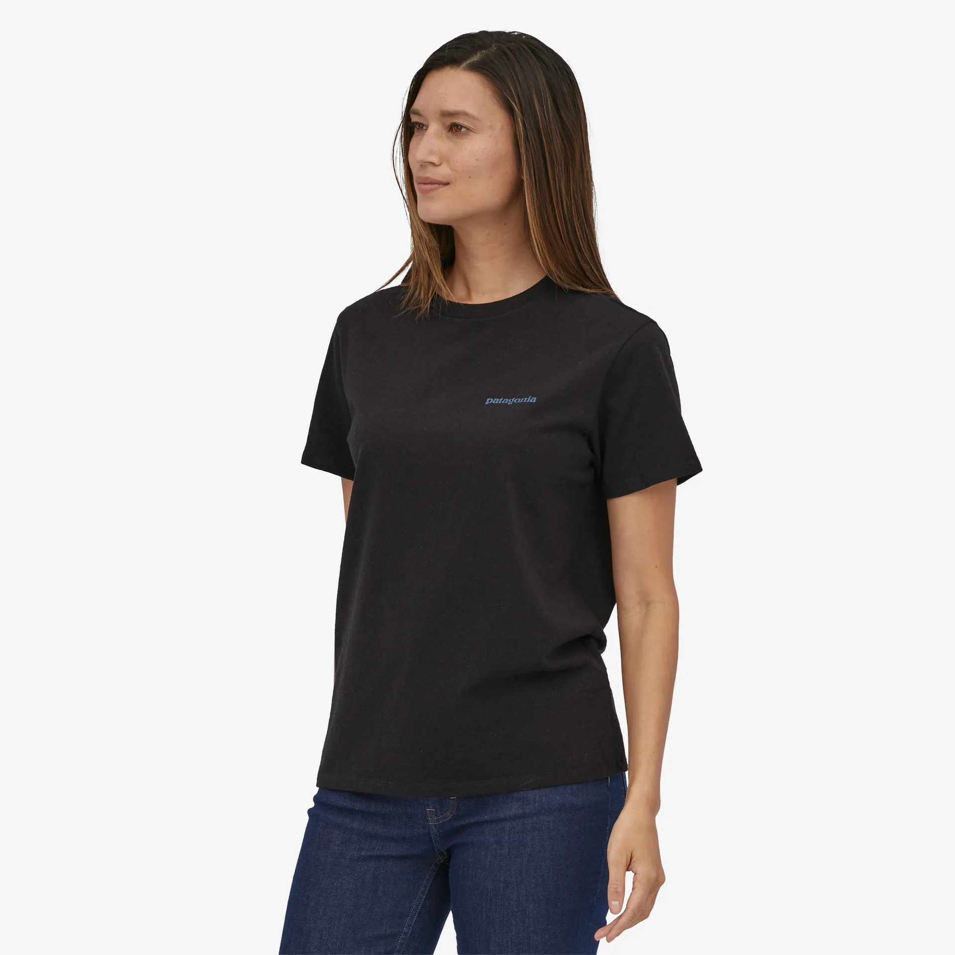 Patagonia Mens T-Shirts Fitz Roy Icon Responsibili-Tee®