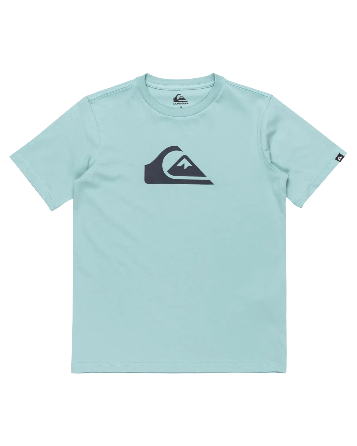 Quiksilver Clothing Boys Comp Logo T-Shirt in Aquifer