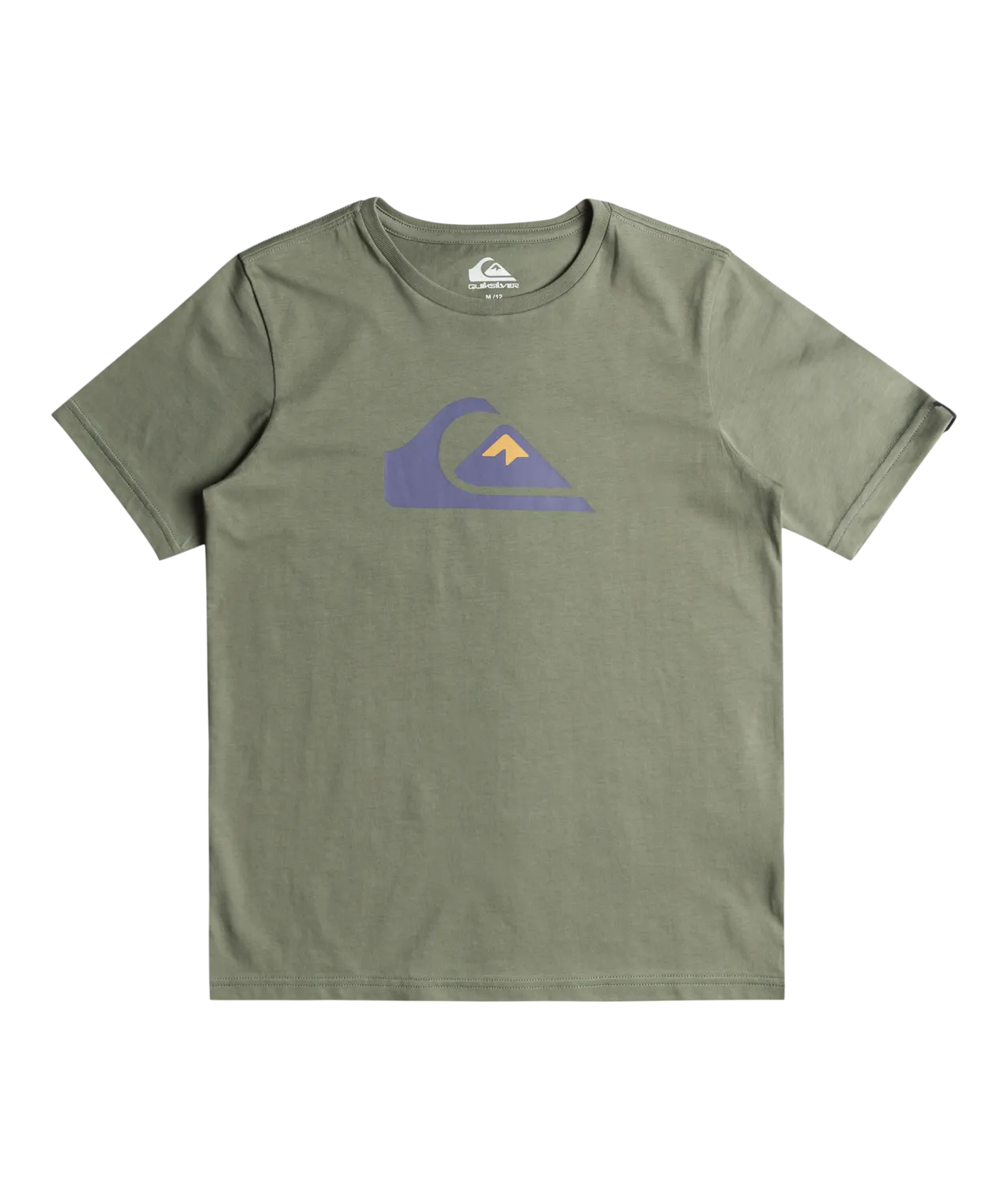 Quiksilver Clothing Boys Comp Logo T-Shirt in Sea Spray