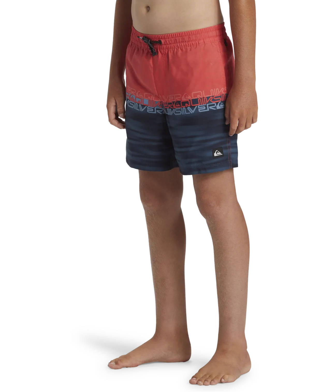 Quiksilver Clothing Boys Everyday Wordblock Volley Shorts in Cayenne