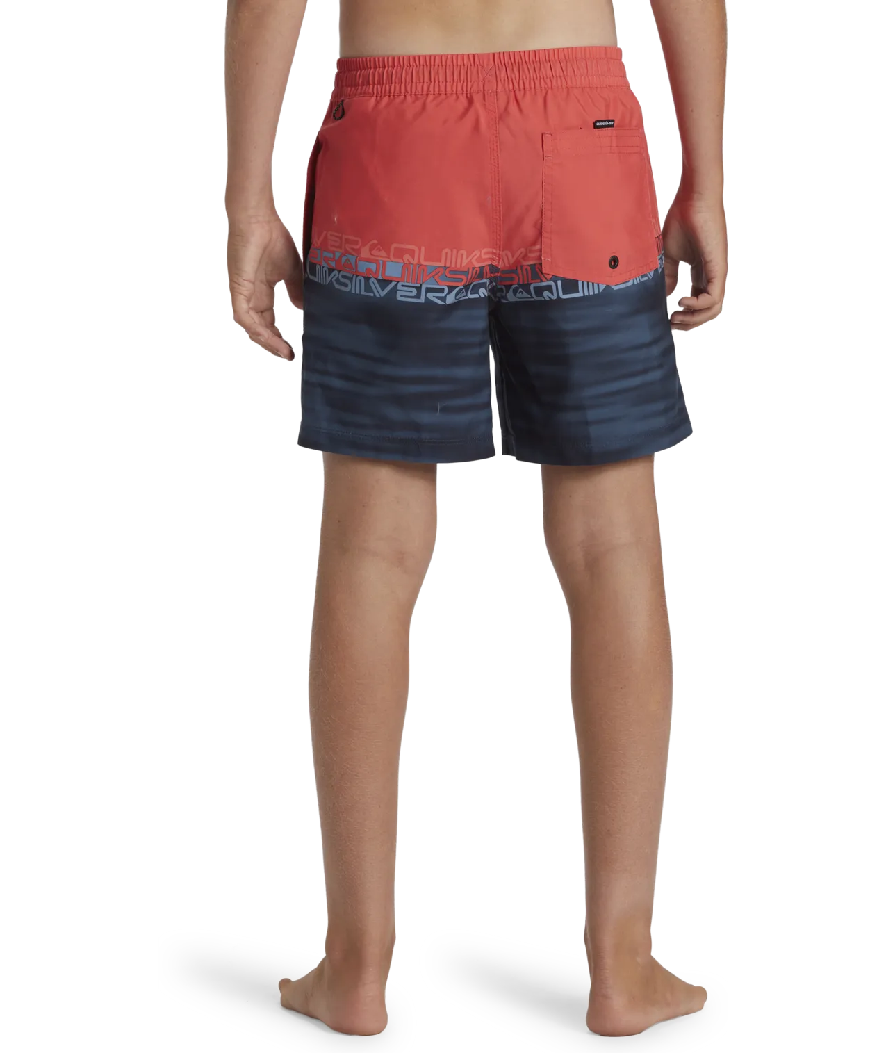 Quiksilver Clothing Boys Everyday Wordblock Volley Shorts in Cayenne