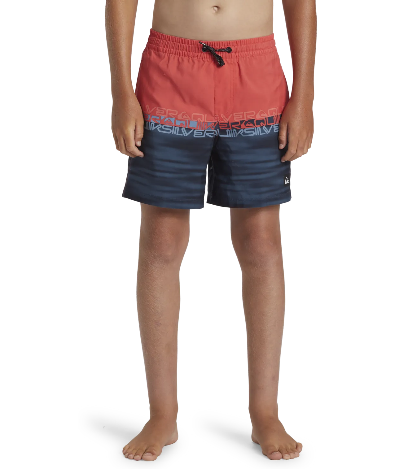 Quiksilver Clothing Boys Everyday Wordblock Volley Shorts in Cayenne