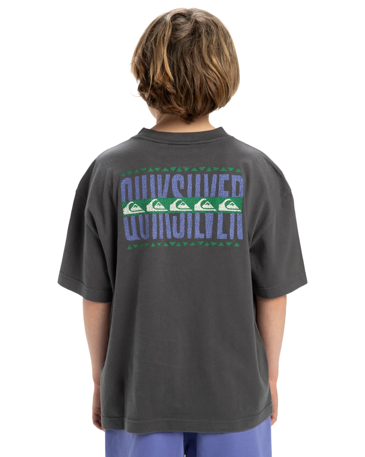 Quiksilver Clothing Boys GH World Force T-Shirt in Dark Shadow