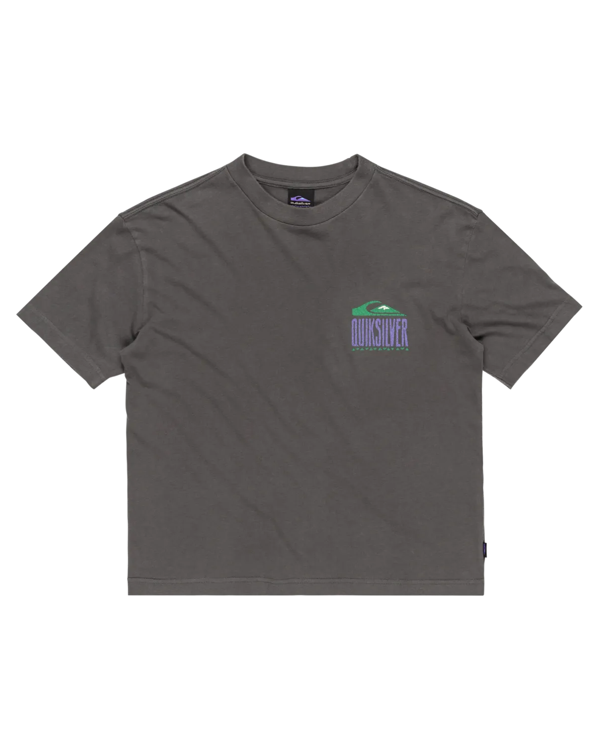 Quiksilver Clothing Boys GH World Force T-Shirt in Dark Shadow