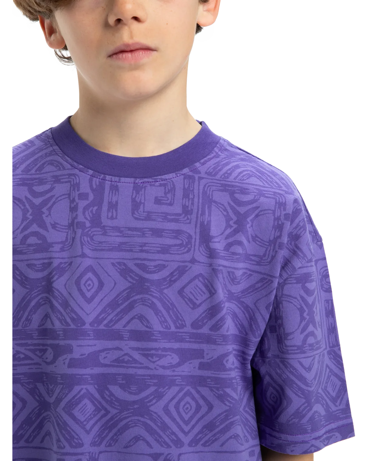 Quiksilver Clothing Boys Global Heat T-Shirt in Dusted Peri Global Heat