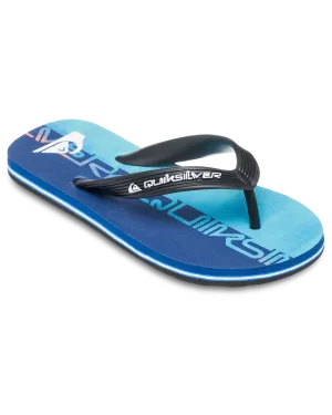 Quiksilver Clothing Boys Molokai Art 25 Flip Flops in Nebulas Blue Wordblock