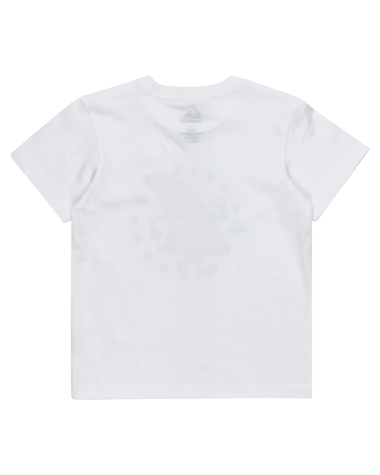 Quiksilver Clothing Boys Tasty Waves T-Shirt in White