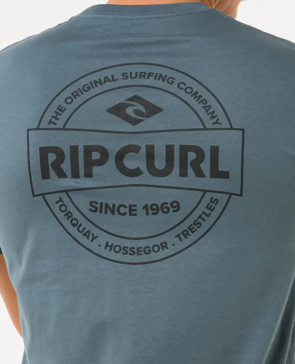 Staple T-Shirt in Pine Night