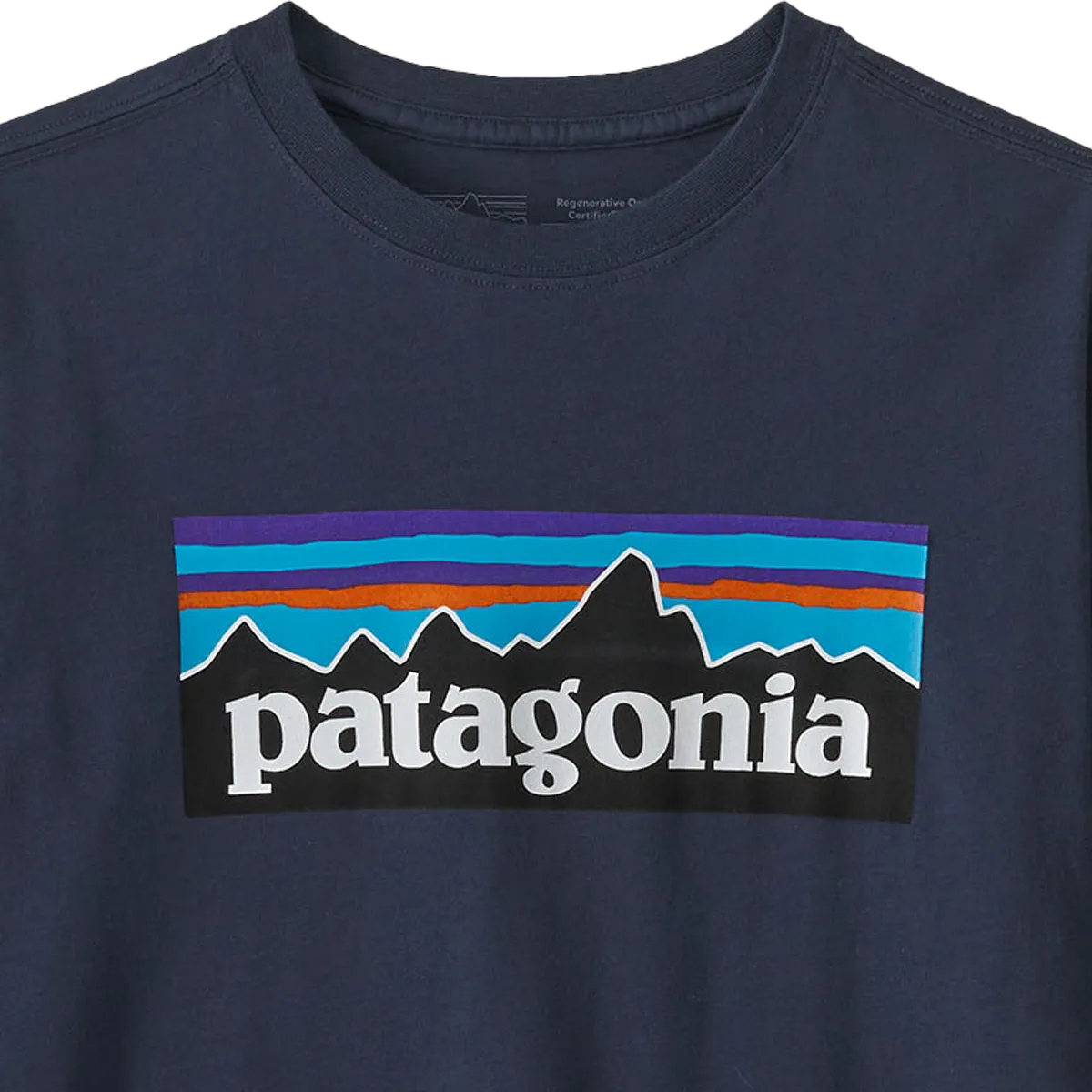 Youth Long Sleeved Regenerative Organic Certified Cotton P-6 T-Shirt Patagonia Clothing